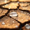 wp-content/uploads/2026/06/close-up-cracked-earth-from-drought.jpg