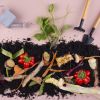 wp-content/uploads/2026/06/composition-compost-made-rotten-vegetables-1.jpg